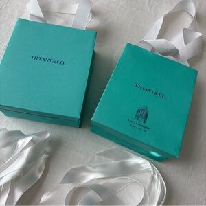 Tiffany & Co. Flagship NYC Bag and Regular Tiffany & Co. bag with Tissue,Ribbon